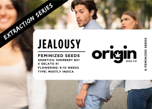 An image of Jealousy