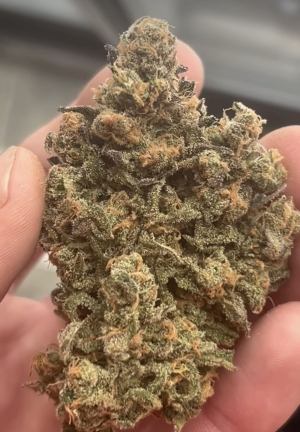 An image of Blueberry Mojito