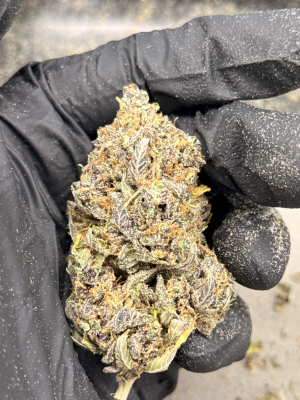 An image of Gravity Bong