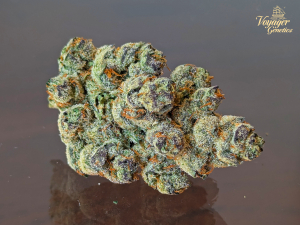 An image of Peach Fizz