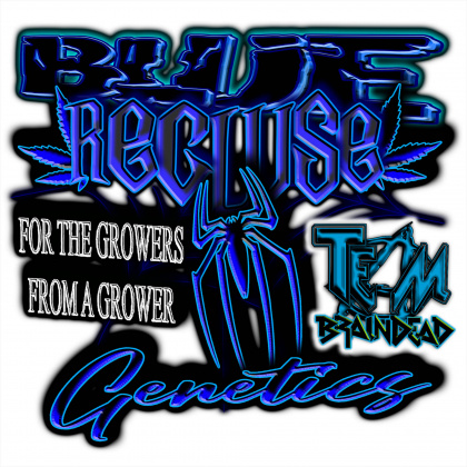 BlueRecluse's profile image