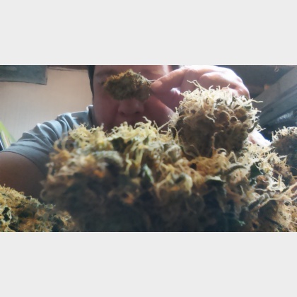 FukNLuv420's profile image