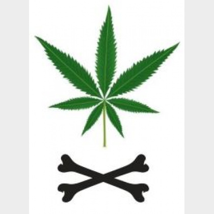 HoweFarms's profile image