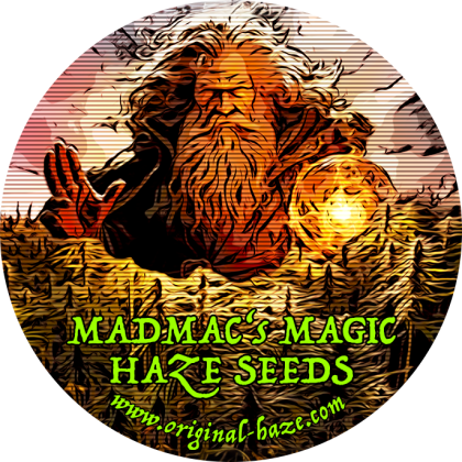 MadMac's profile image