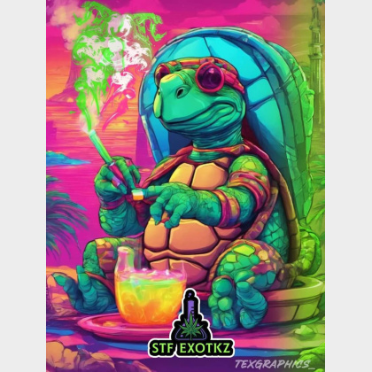 STFExotikz's profile image