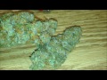 Nebula-Paradise Seeds thumbnail