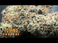 Meat Breath Toking Tuesday thumbnail